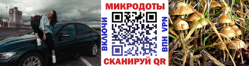 Купить  Горбатов  Псилоцибиновые грибы MAGIC MUSHROOMS 
