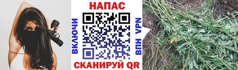 Купить  Горбатов  Марихуана AK-47 